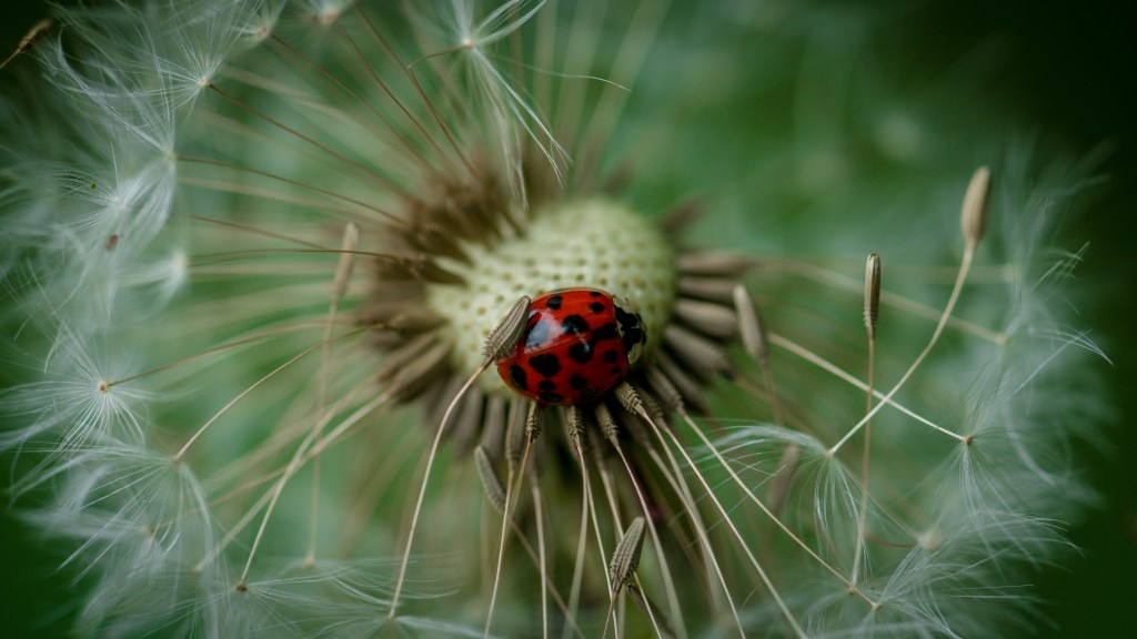 Protect Your Garden: Top Tips Against&nbsp;Pests